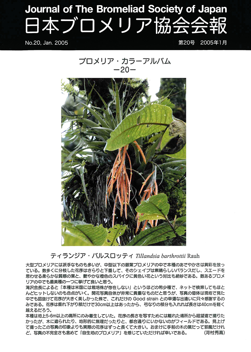 会報誌 第20号