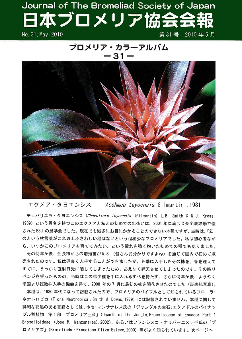 最新号　ドイツブロメリア協会誌　エーレルス追悼号 最新号 ドイツブロメリア協会誌 エーレルス追悼号