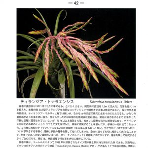 会報誌 第42号