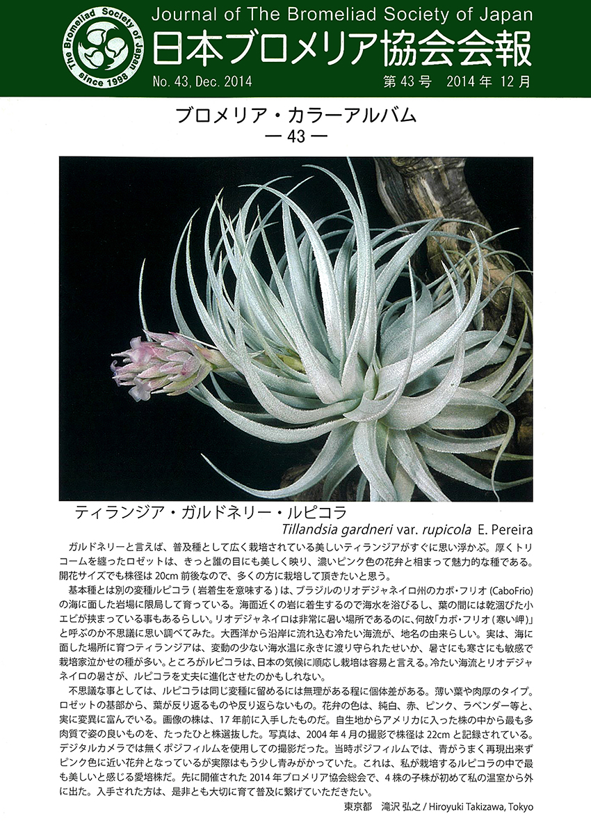2024 - 21 PROTEA 知っとる事はこのぐらい 原画一点物 会報 第43号 2024 - 21 PROTEA 知っとる事はこのぐらい 原画一点物 会報 第43号