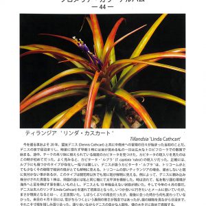 会報誌 第44号