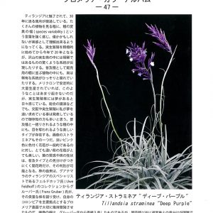 会報誌 第47号