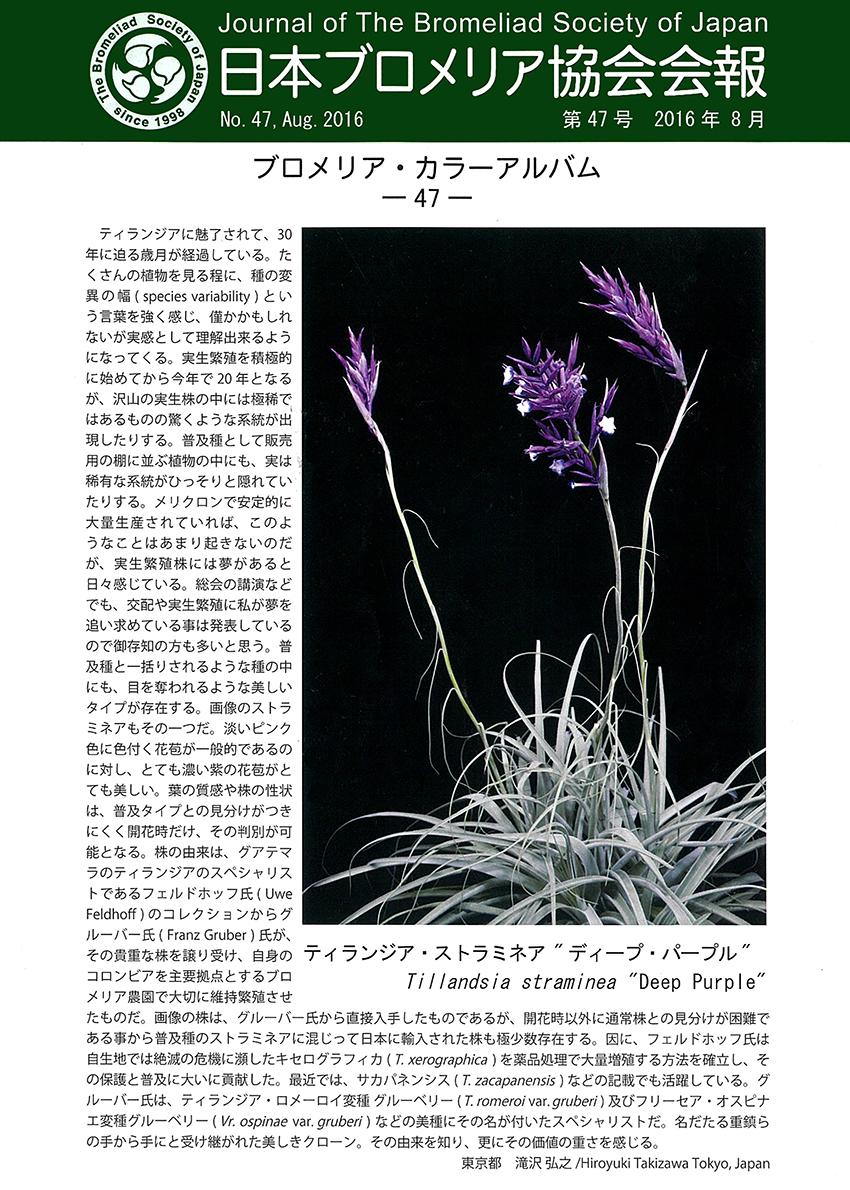 会報誌 第47号
