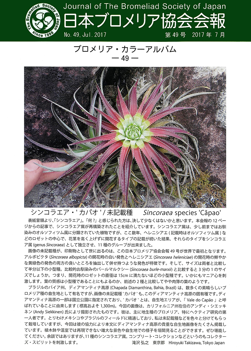 会報 第49号 | 日本ブロメリア協会 The Bromeliad Society of Japan