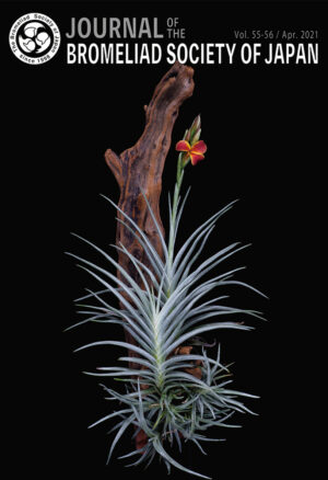 会報 | 日本ブロメリア協会 The Bromeliad Society of Japan