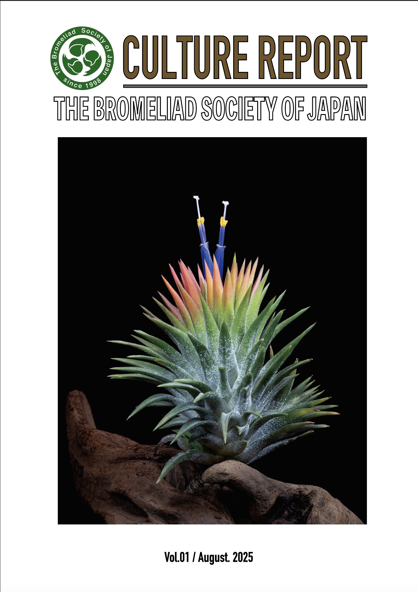 CULTURE REPORT 1号