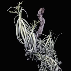 会報誌 第57-58合併号